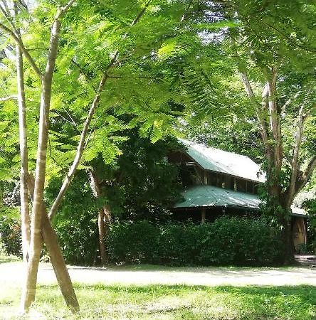 Casa Mymy Hostel Playa Negra Luaran gambar